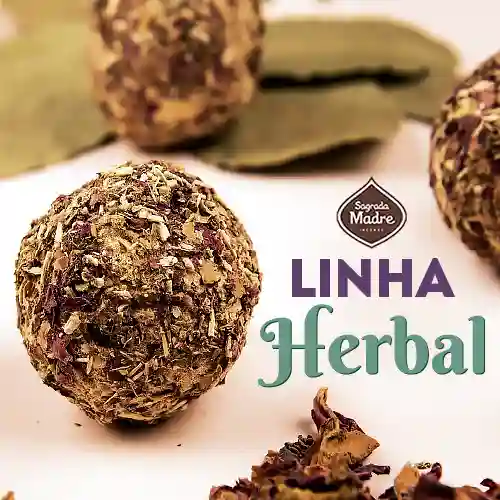 Bombinha Fortuna Sagrada Madre